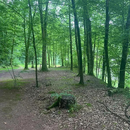 Cocon A Aux Etangs 55 M² Et Sauna Apartment