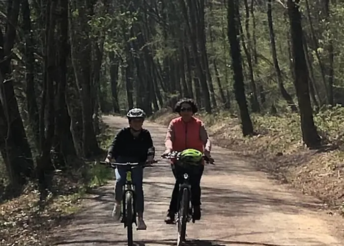 公寓 Moderne A De 55 M² Avec Jacuzzi